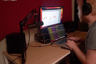 professionally mix your song for you