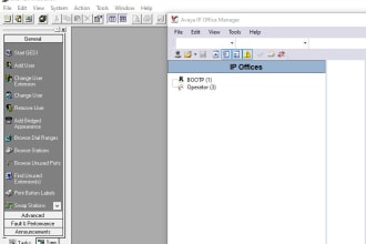support configuration and troubleshooting in pbx avaya