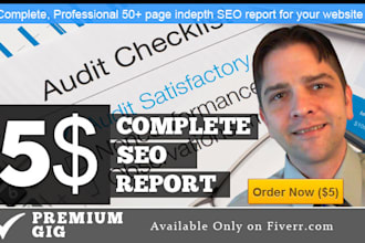 do an SEO audit on your website and provide you with 50+ page report to improve rankings