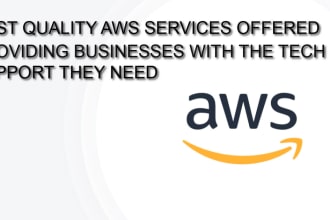 professionally do all aws and related work