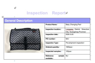 do pre shipping inspection and offer report