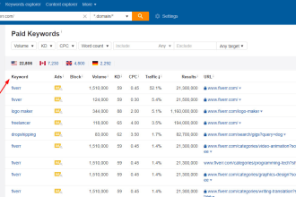 provide google PPC adword ads copy of your competitor
