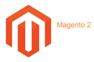 resolve any type of magento 2 store issue