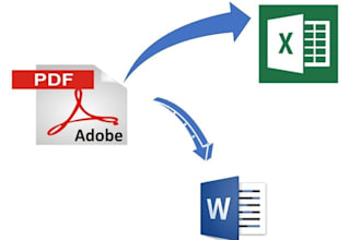 convert PDF into excel or word data entry