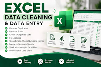 clean data, merge, organise and format excel sheet