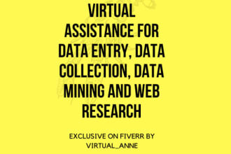 be your virtual assistant for data entry and data mining