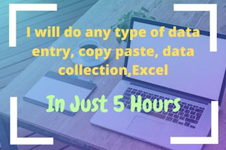 do any type of data entry, copy paste, data collection,excel