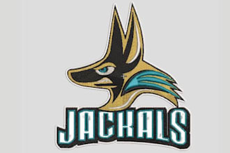do 3d puff  embroidery digitizing in 1 hours dst file