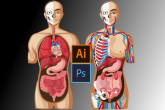 do medical, scientific illustration, human body infographics
