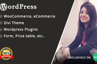 design a premium wordpress website, SEO friendly