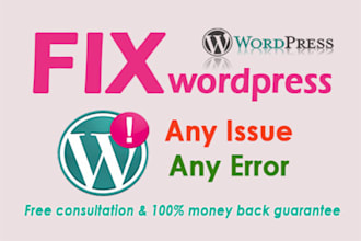 fix any kind wordpress problems,error and css issues