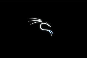 conduct a thorough penetration test of your web application