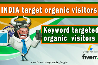send indian niche targeted organic traffic from google