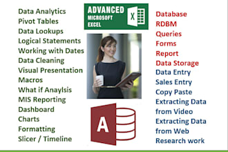 do excel and access work, data research, report, collection, entry, copy paste