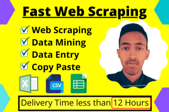 do web scraping, web scraper, data entry, and data mining in 12 hours