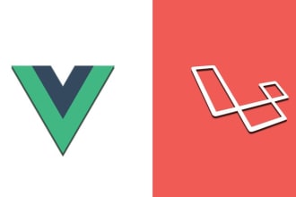 guide and teach you how to be a laravel and vue js developer