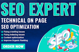do technical on page SEO optimization for your wordpress website