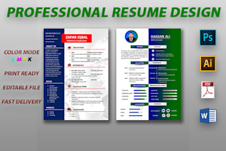 provide resume template or professional resume design