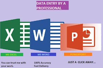 do data entry work on ms excel, power point and ms word