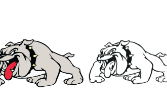 draw vector line art of any diagram or any illustration work