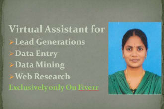 be your ultimate virtual assistant for data entry, data mining, web research