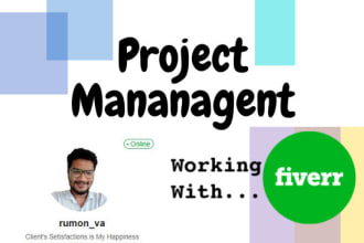provide virtual and administrative assistance service