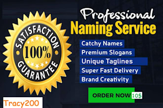 business name ideas,website domain names, taglines slogans