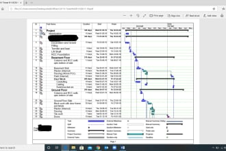 provide microsoft project schedule gantt chart timeline