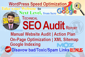 create an SEO audit report with an action plan and do on page optimization