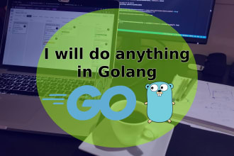 provide golang programming services for your needs
