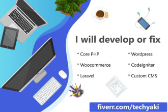 fix or customize your website