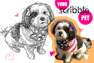 drawn detailed scribble pet portait