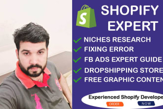 build dropshipping store or shopify websites with winning products
