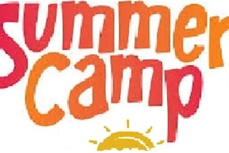 develop and coordinate a summer school curriculum and manual