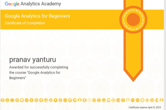 setup google analytics, ecommerce tracking, ads tracking, and GTM