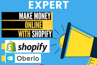 setup shopify website and shopify dropshipping store