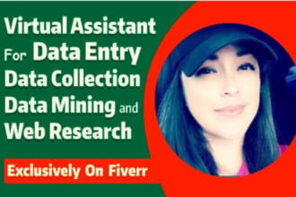 do excel data entry, contact list ,data collection, copy paste, web research