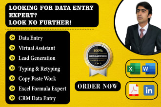 be virtual assistant for data entry lead generation web research typing excel