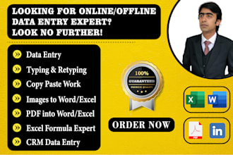do any online or offline data entry and copy paste work