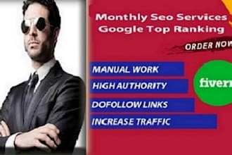 provide complete monthly SEO service high quality backlinks