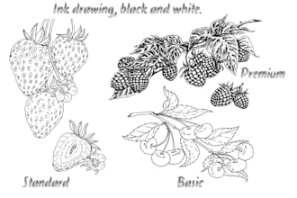 draw botany by hand in any style