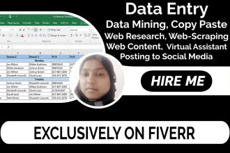 do data entry or web research or web scraping or copy paste