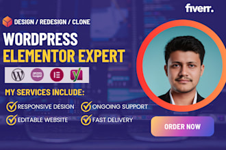 be your wordpress elementor expert for clone and redesign website