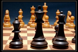teach you chess basics
