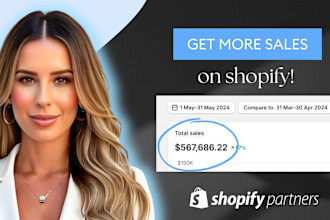 audit and review your shopify site or drop shipping store to convert