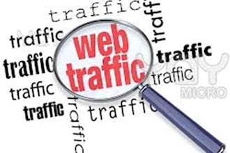 give You My Professional Tool I Used To Drive Unlimited TRAFFIC Everyday To Your Website
