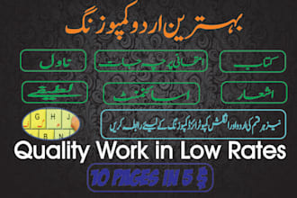 do urdu typing and retyping, book typing