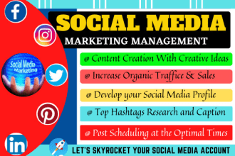 be your social media manager and content maker, facebook ads