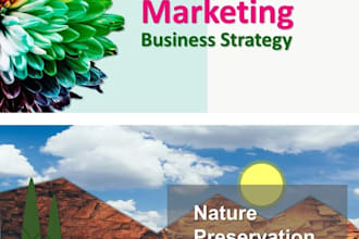 make professional business presentation