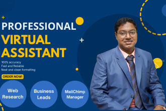 professional web research, excel data entry, mailchimp email marketing assistant